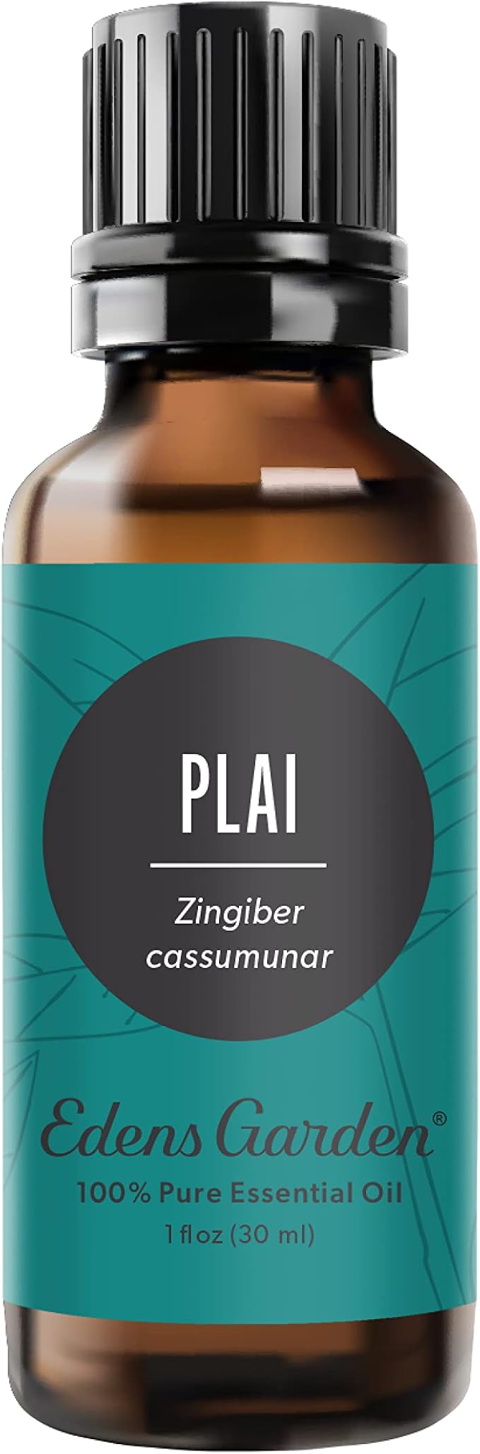 Edens Garden Plai Essential Oil- 100% Pure Premium Grade, Therapeutic, by EdensGarden