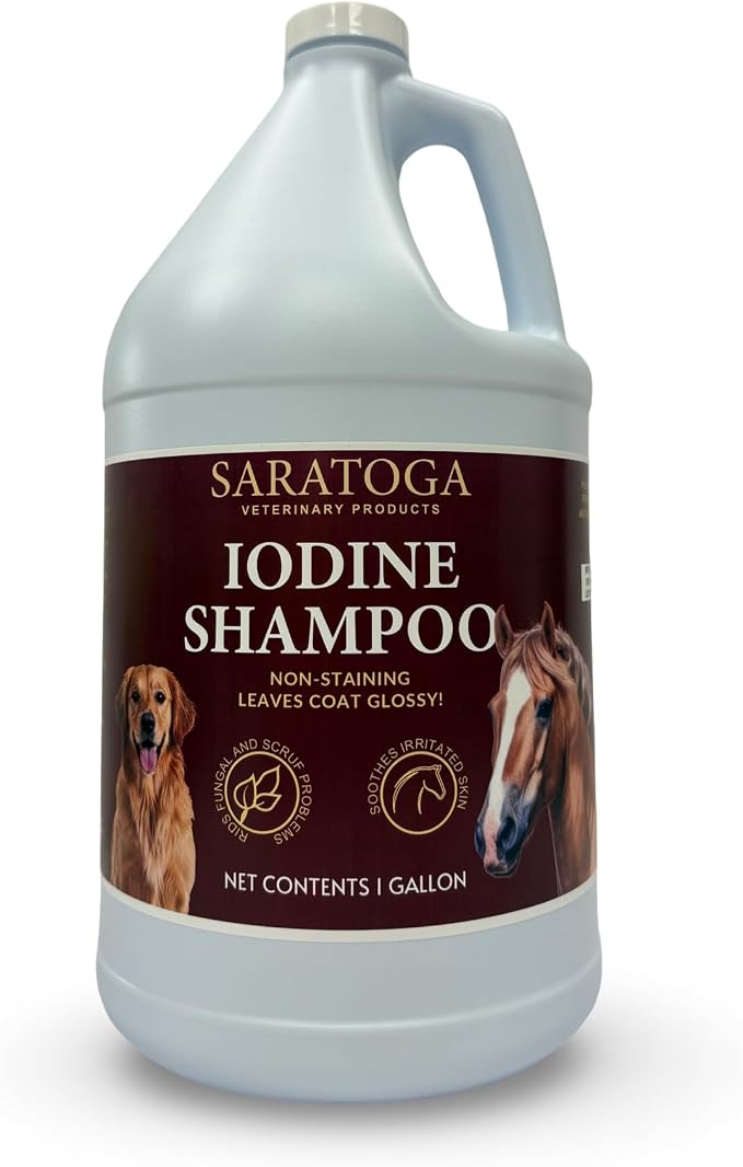 2% Iodine Shampoo for Horses & Dogs – Non-Staining Antiseptic Wash for Skin by EquiSpaz