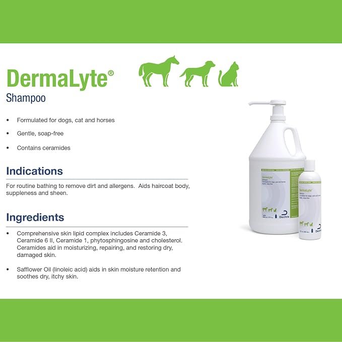 Shampoo, 12 Ounce - Image 4