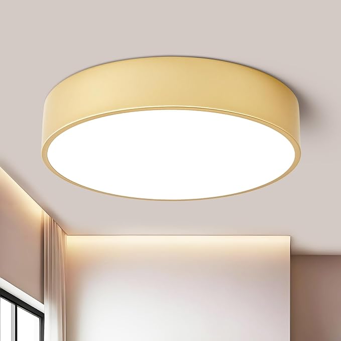 Dimmable Modern Large Flush Mount Close to Ceiling Light Fixture, Round Painted by TYNCEAOL