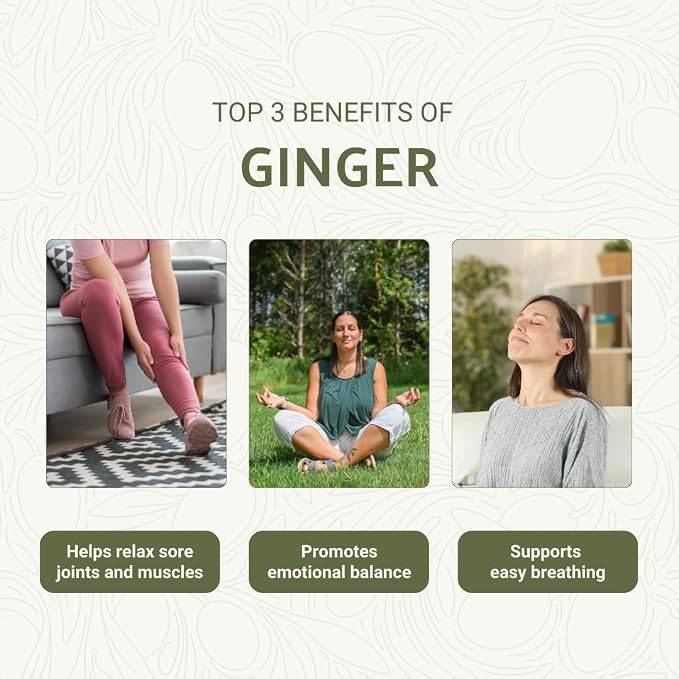 Ginger Essential Oil - Image 3