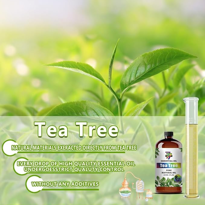 Tea Tree Essential Oil – Tea Tree Oils - Image 7