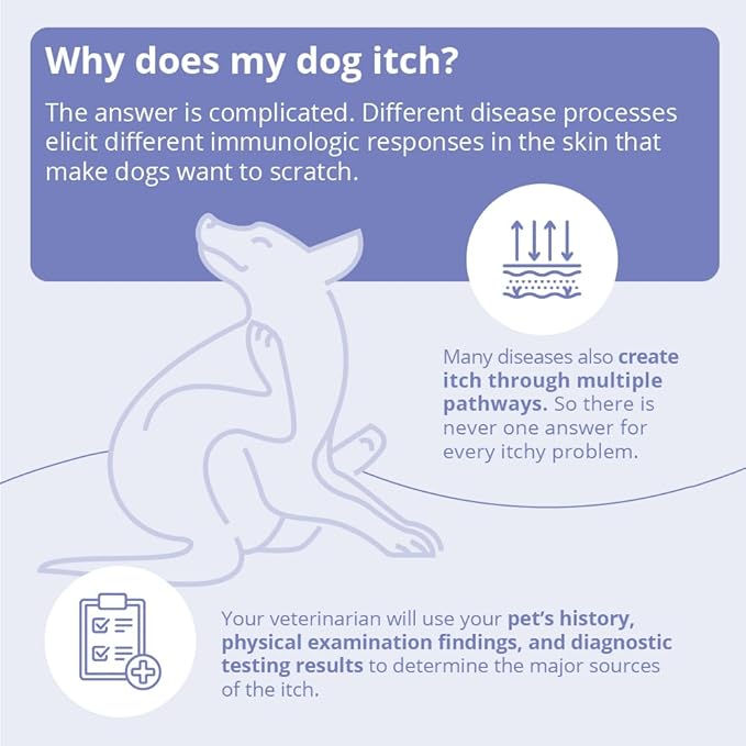 MiconaHex+Triz Shampoo for Dogs, Cats and Horses, 16 oz - Image 6