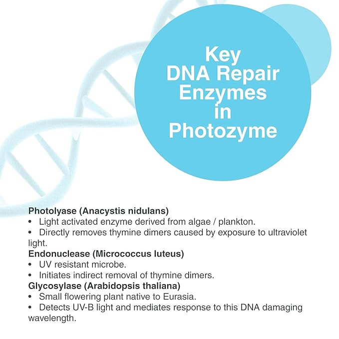 Photozyme DNA Repair Anti Aging Body Lotion Complex - Image 7