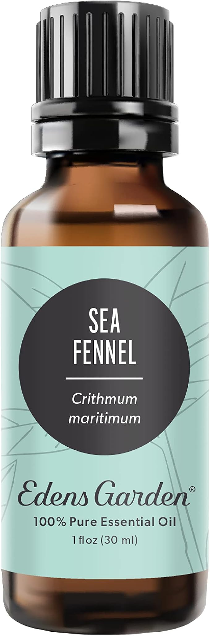 Edens Garden Sea Fennel Essential Oil- 100% Pure Premium Grade, Therapeutic by EdensGarden