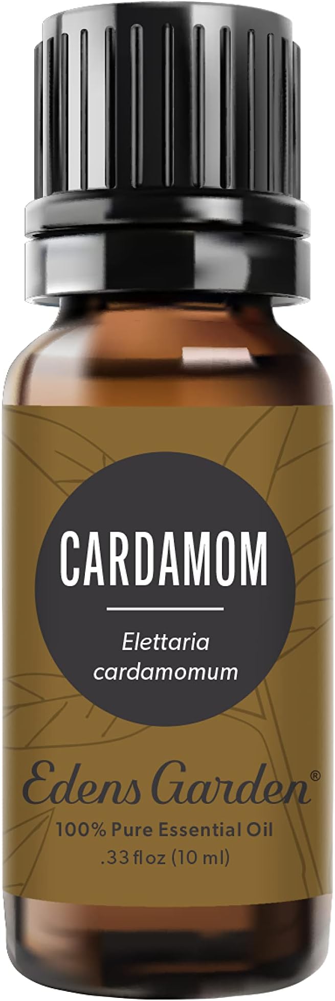 Edens Garden Cardamom Essential Oil- 100% Pure Premium Grade, Therapeutic by EdensGarden
