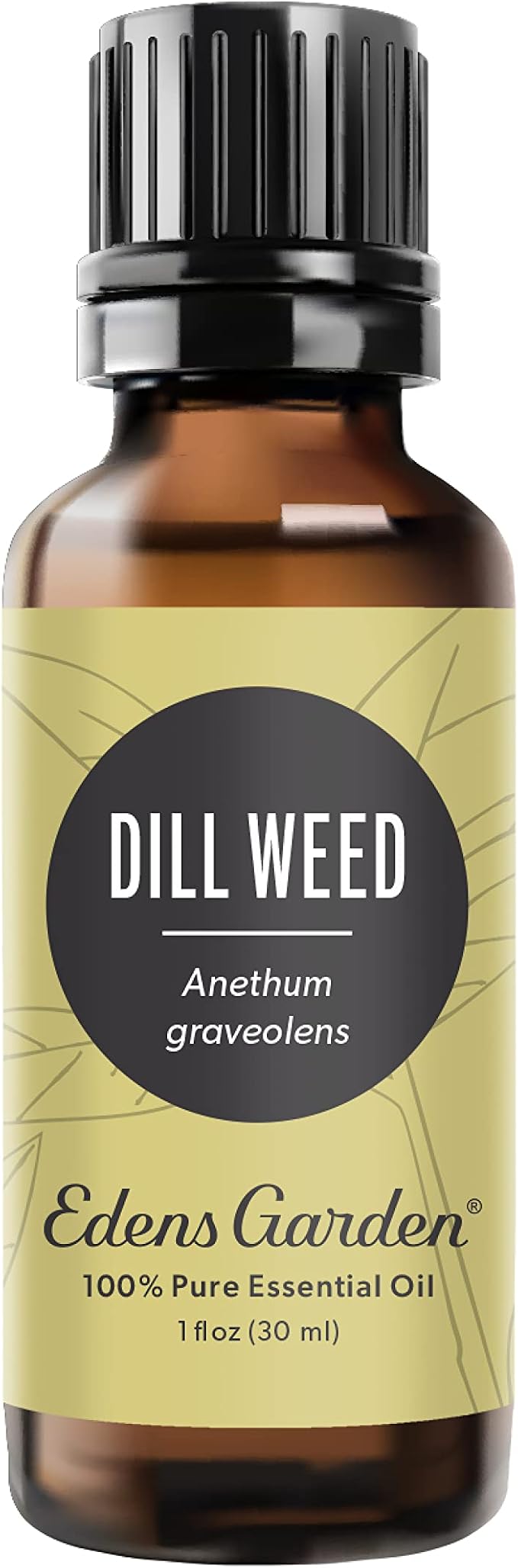 Edens Garden Dill Weed Essential Oil- 100% Pure Premium Grade, Therapeutic by EdensGarden