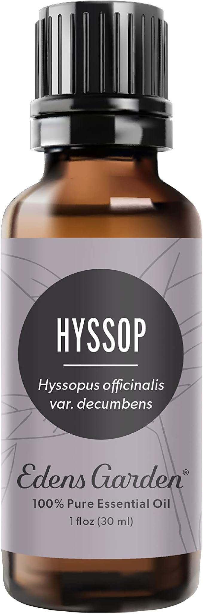 Edens Garden Hyssop Essential Oil- 100% Pure Premium Grade, Therapeutic by EdensGarden