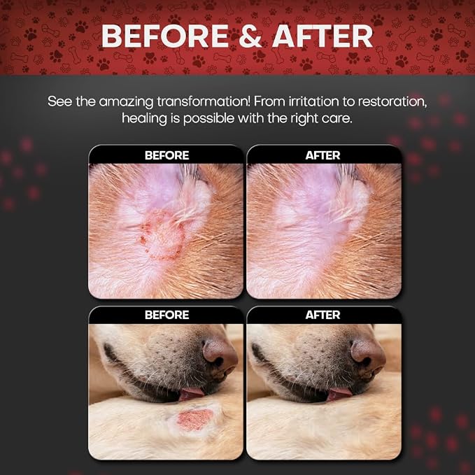 2% Chlorhexidine Wipes for Dogs 3X Larger | Yeast Infection Ringworm Fungus Hot - Image 2