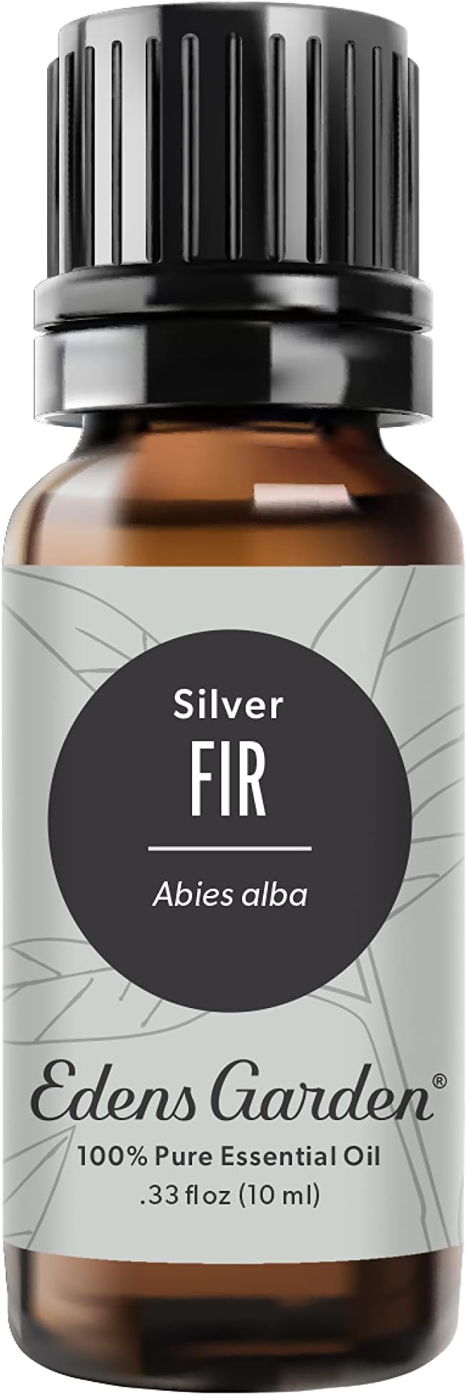 Edens Garden Fir- Silver Essential Oil, 100% Pure Therapeutic Grade 10 ml by EdensGarden