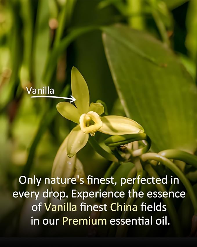 Pure Vanilla Essential Oil, 100% Natural Vanilla Bean Oil, Premium Grade - Image 3