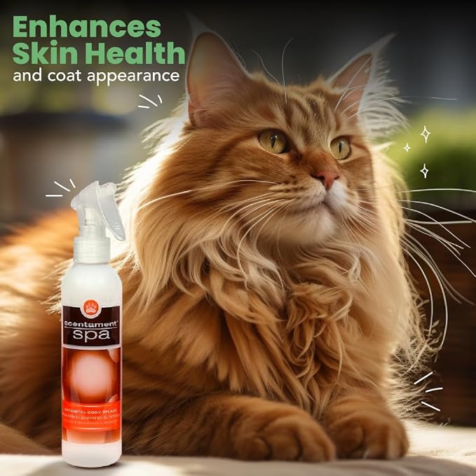 Best Shot Scentament Spa Botanical Body Splash, Detangler Spray, Body Spray - Image 3