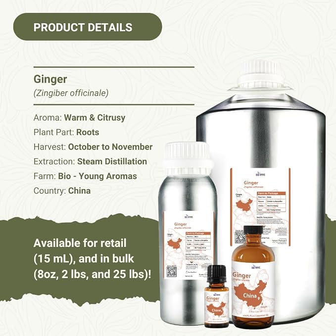 Ginger Essential Oil - Image 4