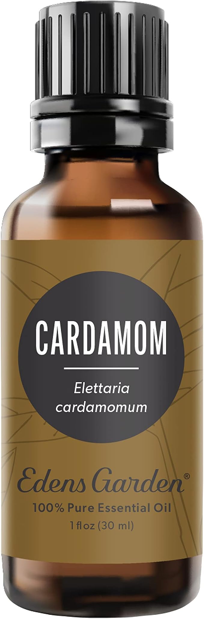 Edens Garden Cardamom Essential Oil- 100% Pure Premium Grade, Therapeutic by EdensGarden