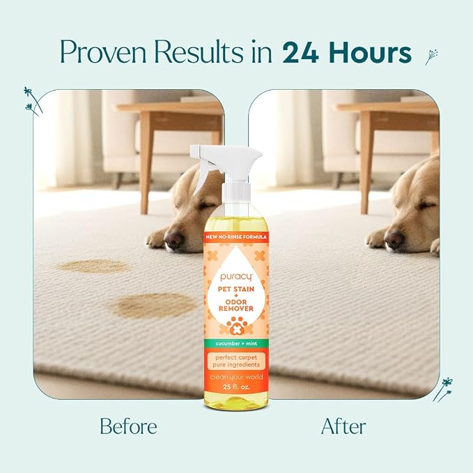 Puracy Pet Stain and Odor Remover - Image 2