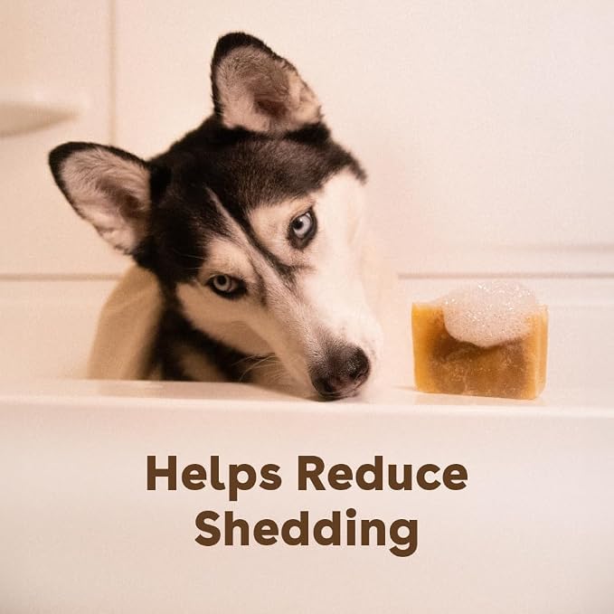 Pupford Sudsy Shampoo Bar for Dogs - Image 5