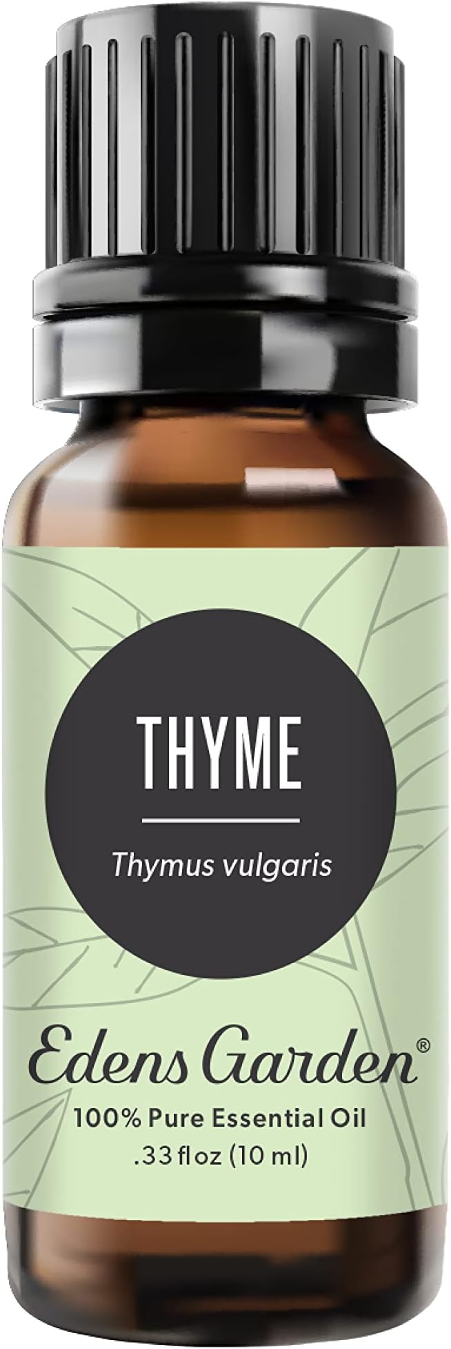 Edens Garden Thyme Essential Oil- 100% Pure Premium Grade, Therapeutic by EdensGarden