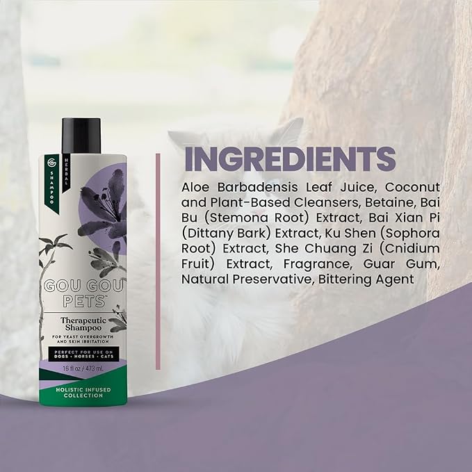 Holistic Natural Anti-Fungal Shampoo - Image 7