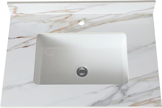 Montary 31"x 22" Bathroom Vanity Top by Montary