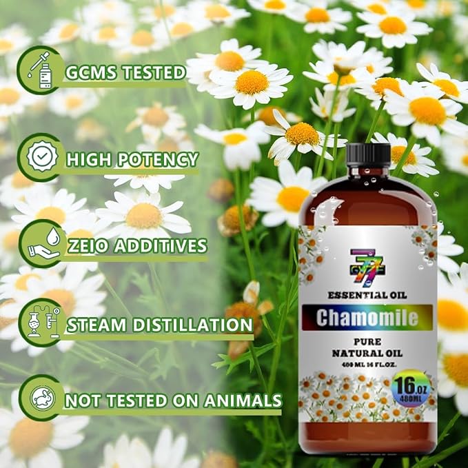 Chamomile Essential Oil – Chamomile Oils - Image 8