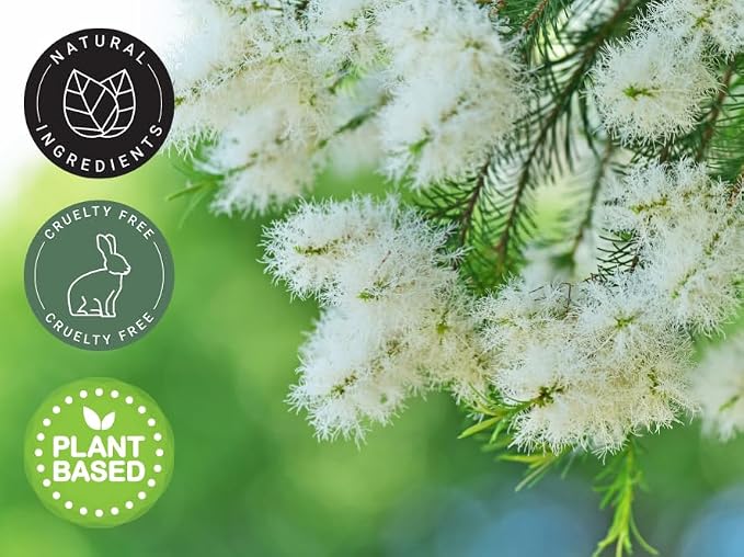 Tea Tree Essential Oil - Image 3
