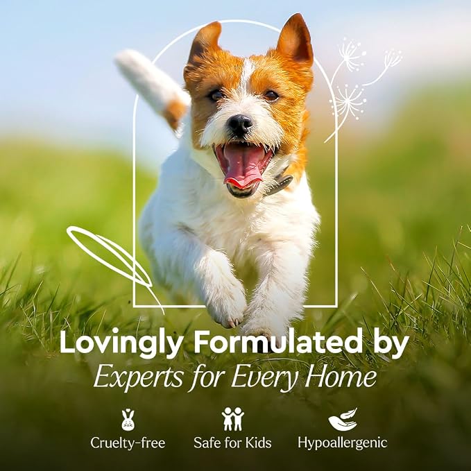Puracy Pet Stain and Odor Remover - Image 5