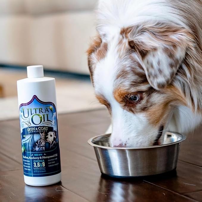 Ultra Oil Skin and Coat Supplement - Image 5