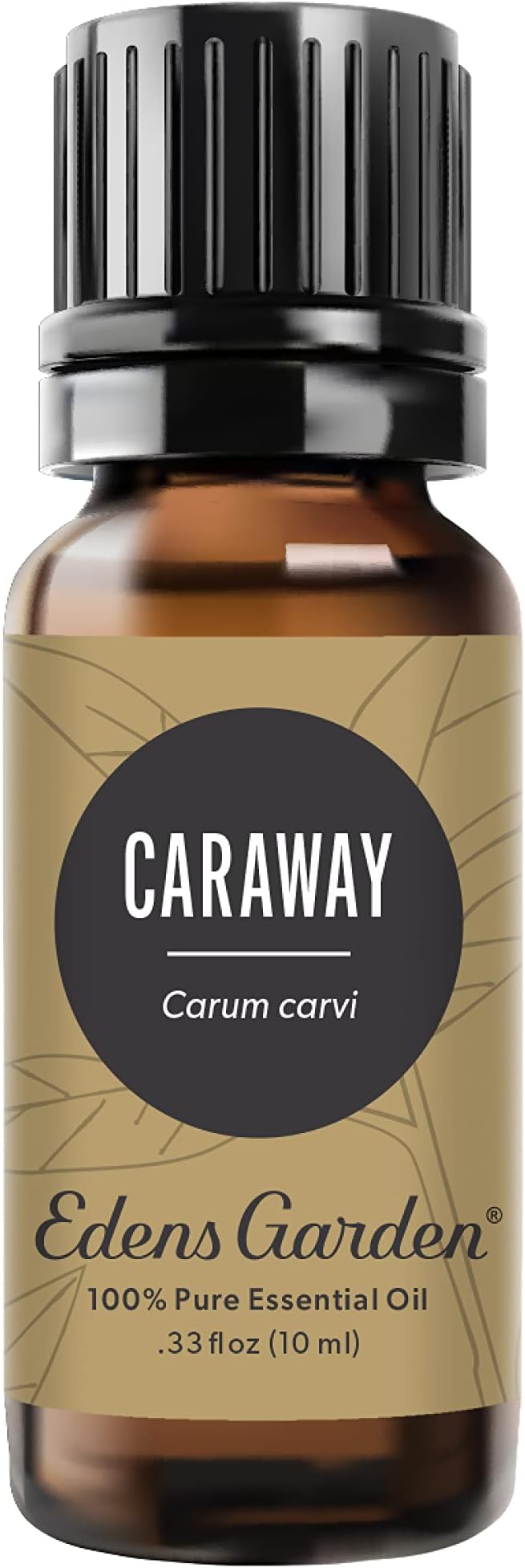 Edens Garden Caraway Essential Oil- 100% Pure Premium Grade, Therapeutic by EdensGarden