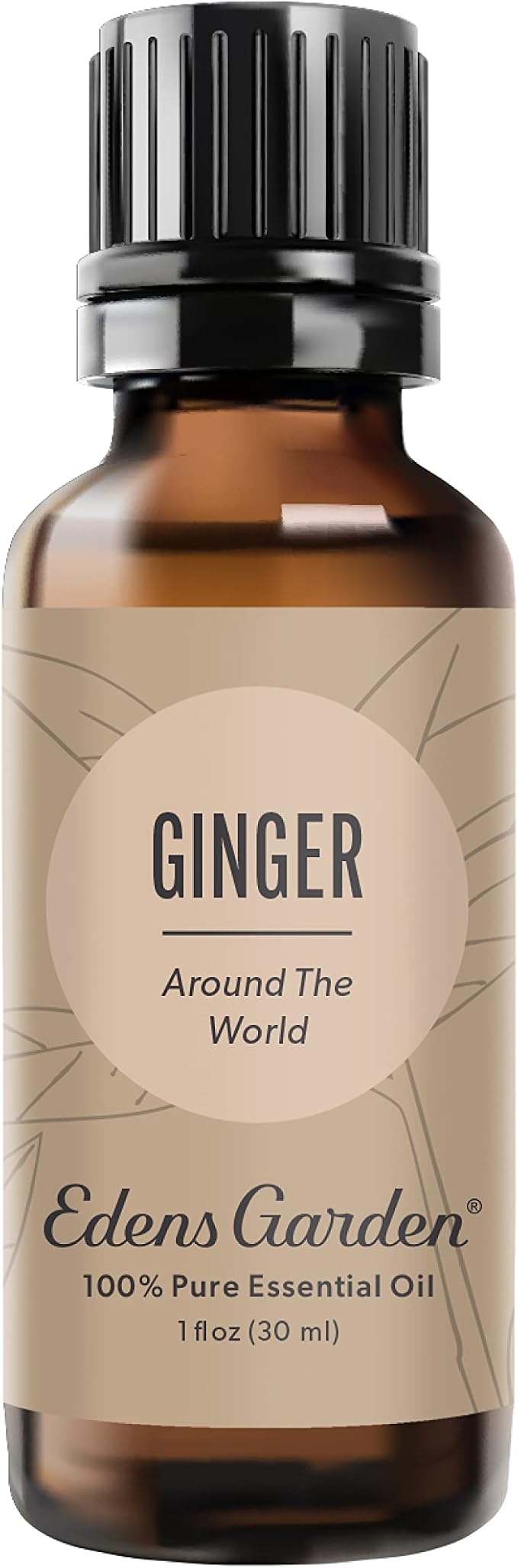 Edens Garden Ginger Around The World Essential Oil- 100% Pure Premium Grade by EdensGarden