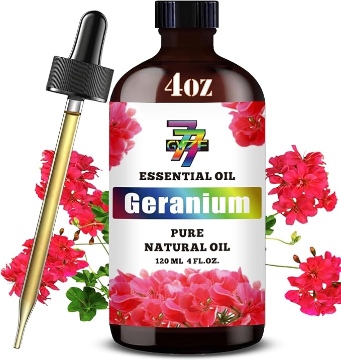 Geranium Essential Oil — Geranium Oils by GV77ZFESSENTIALOILBUYNOW