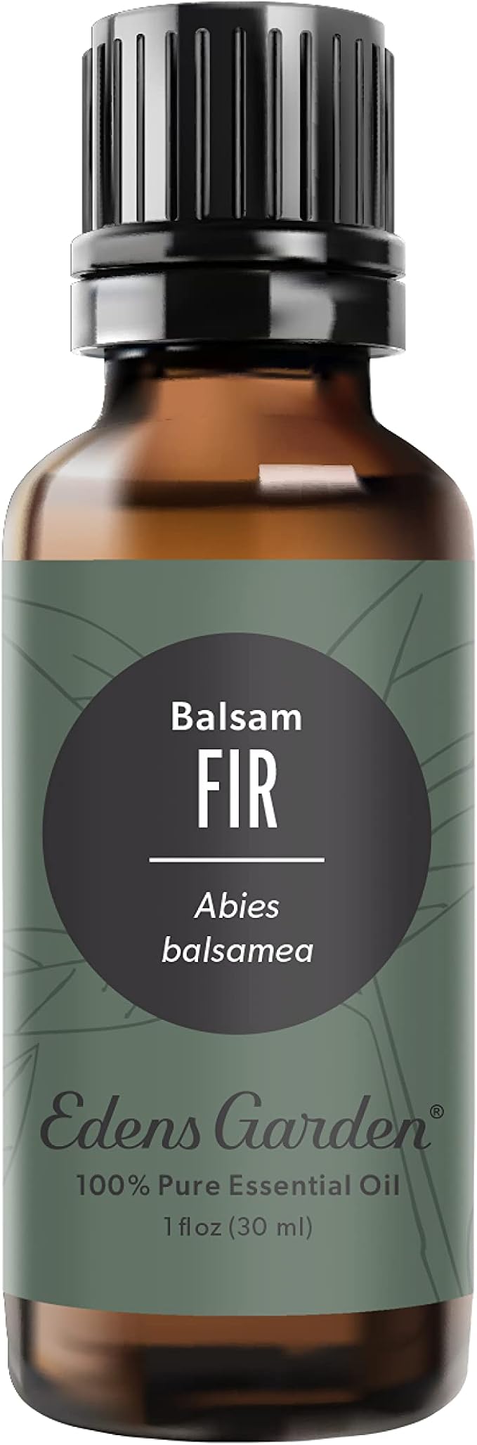 Edens Garden Fir- Balsam Essential Oil, 100% Pure Therapeutic Grade 30 ml by EdensGarden