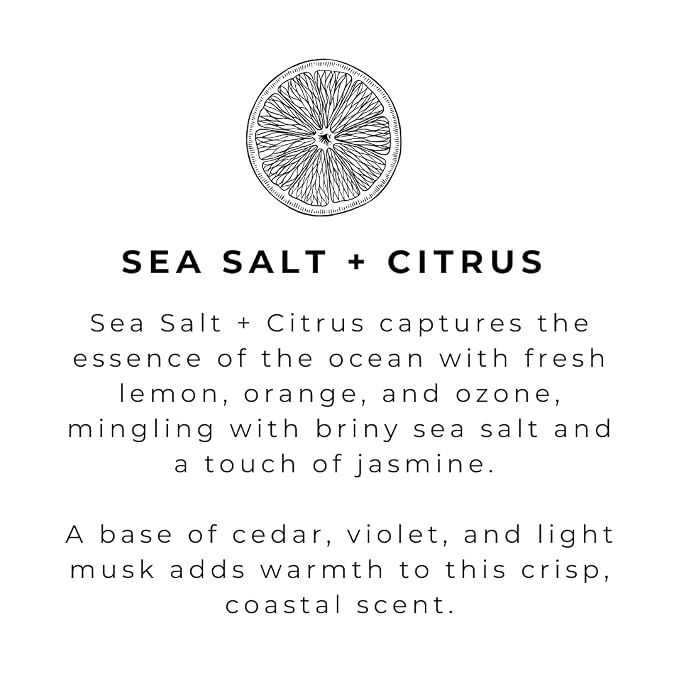 River Birch Sea Salt + Citrus Scented Natural Hand Soap - Image 4