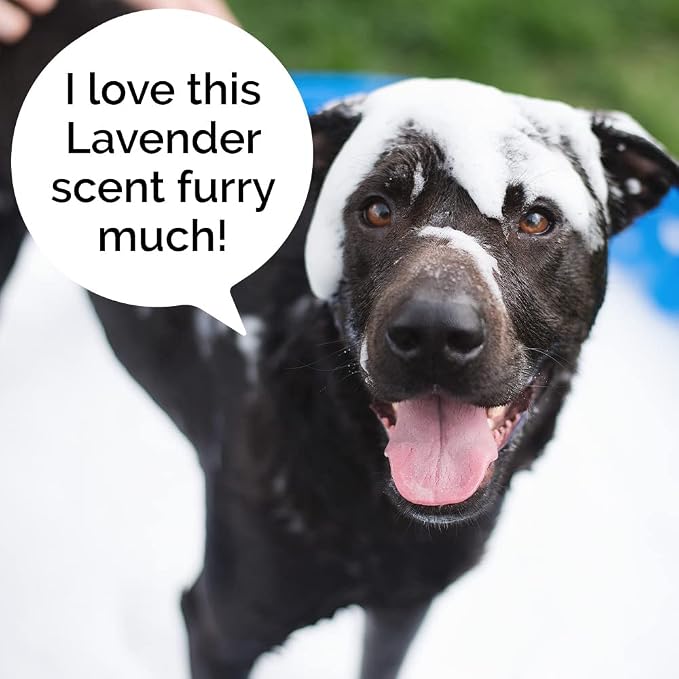 5-in-1 Dog Wash Moisturizing Lavender Shampoo, by Kira Labs 960ml/32fl - Image 8
