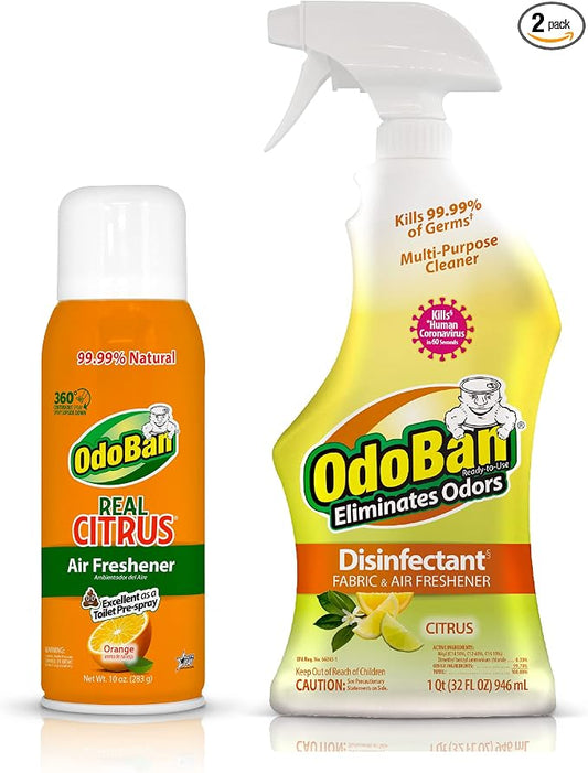 OdoBan 360-Degree Continuous Spray Natural Oil Real Citrus Orange Air Freshener by OdoBan