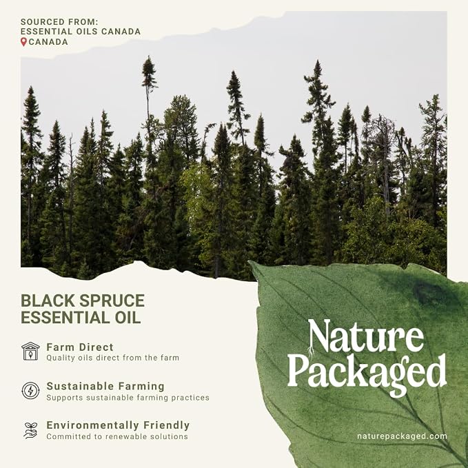 Black Spruce Essential Oil from Canada - Image 6