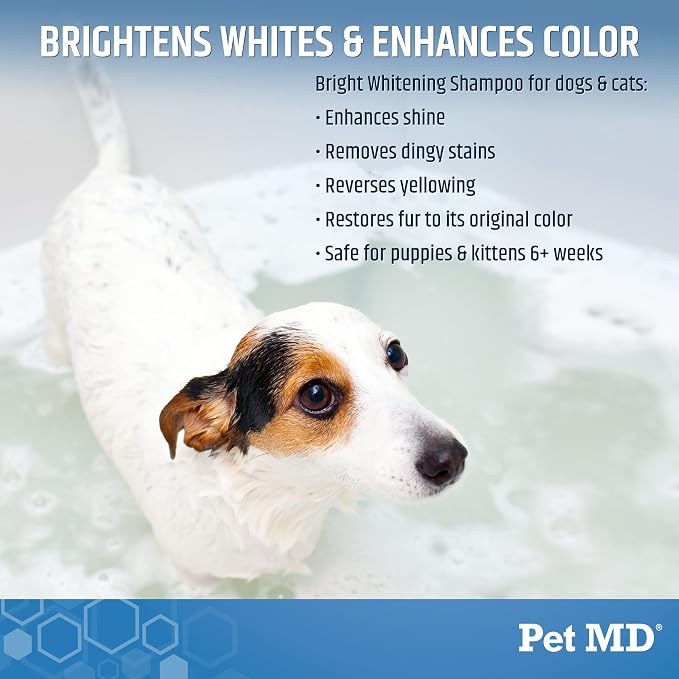 Pet MD Bright Whitening Shampoo - Image 2