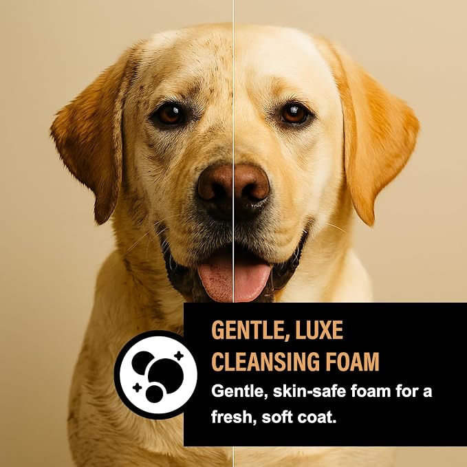 Dog Shampoo for Sensitive Skin - Image 5