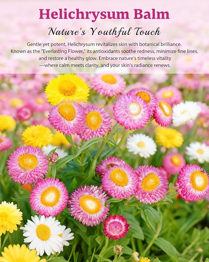 Helichrysum Multipurpose Balm - Image 8