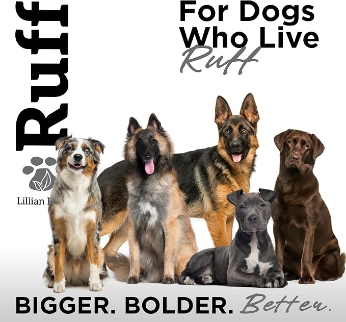 Ruff by Lillian Ruff Activated Charcoal Pet Shampoo – Deep Cleanser, Deodorizer - Image 8
