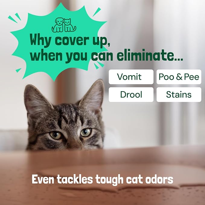 Sunny & Honey Pet Stain & Odor Miracle - Image 4