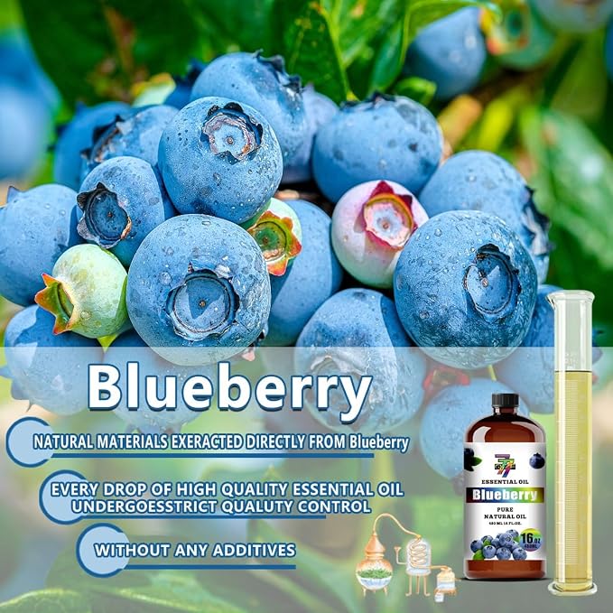 Blueberry Essential Oil – Blueberry Oils - Image 7