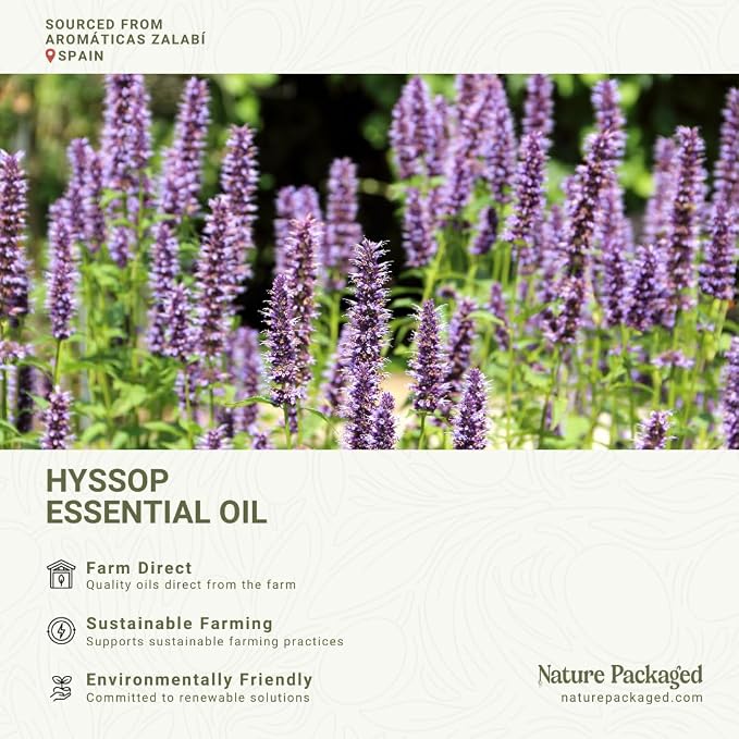 Hyssop Essential Oil - Image 3