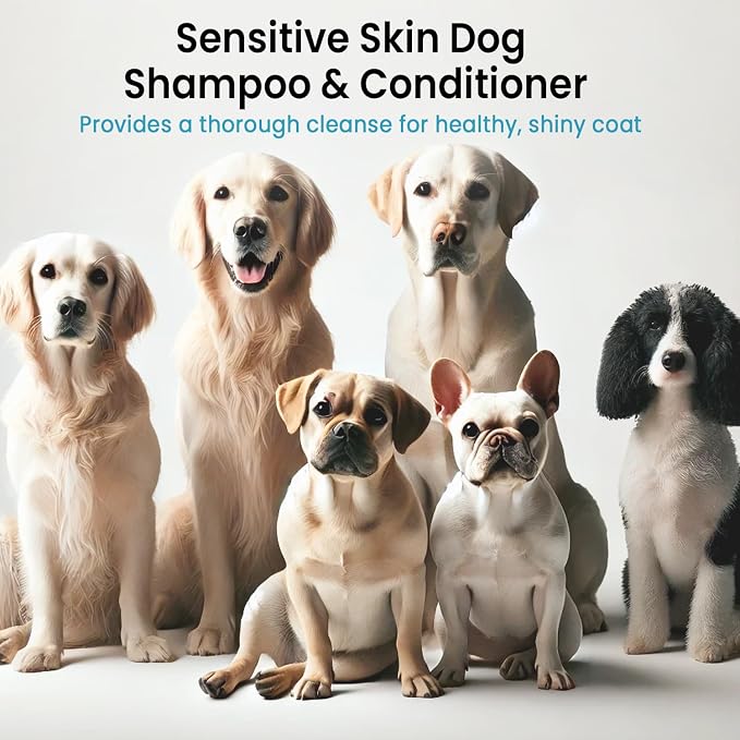 ALFIE'S CHOICE Dog Shampoo & Conditioner Set | 16 fl oz Each | Lavender & - Image 6