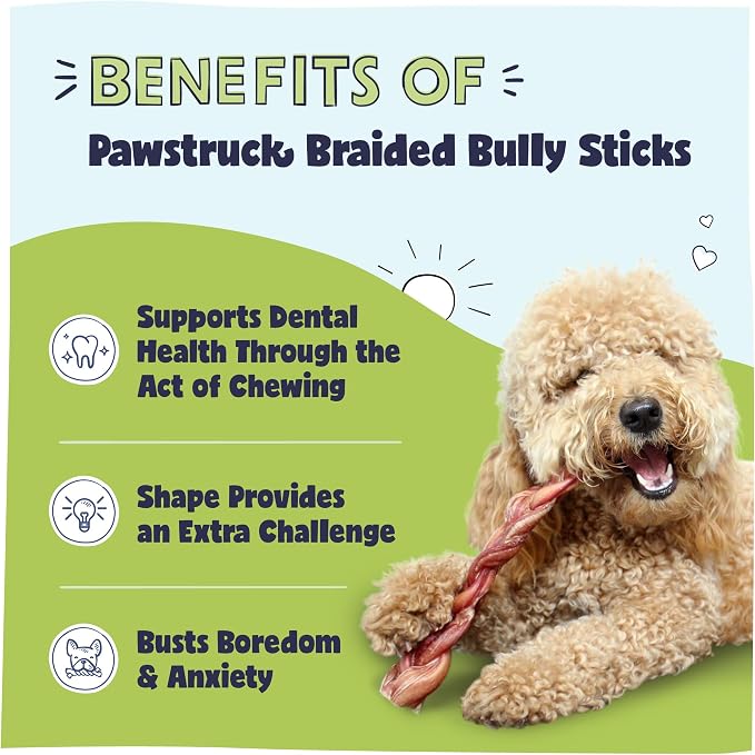 Pawstruck Natural 12” Braided Bully Sticks - Image 2