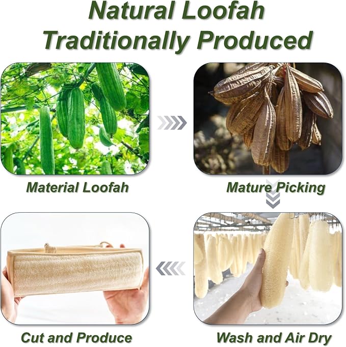 Natural Loofah Sponge, Exfoliating Body Scrubber - Image 5