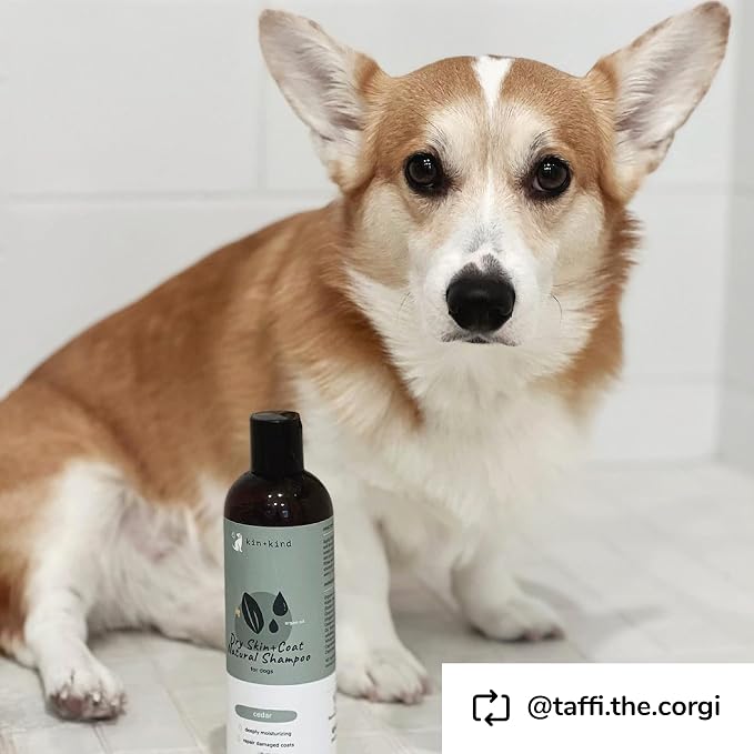 kin+kind Organic Dog Shampoo Itchy Skin Relief – Natural Dog Shampoo - Image 8