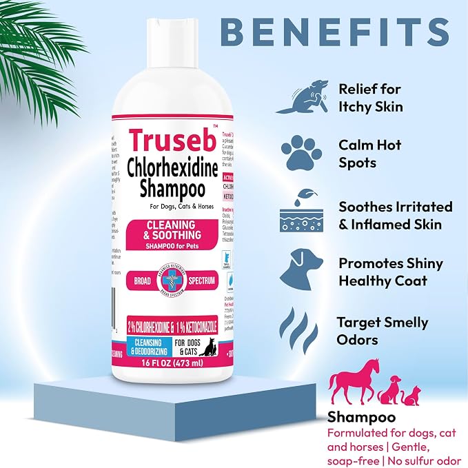 Truseb Topical Ketoconazole and Chlorhexidine Shampoo - Image 5
