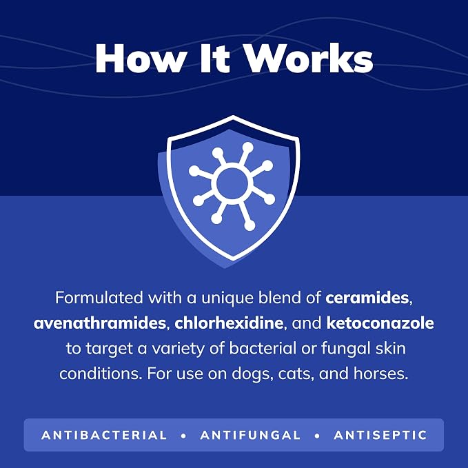 CeraSoothe CHX+KET Antiseptic Shampoo - Image 3