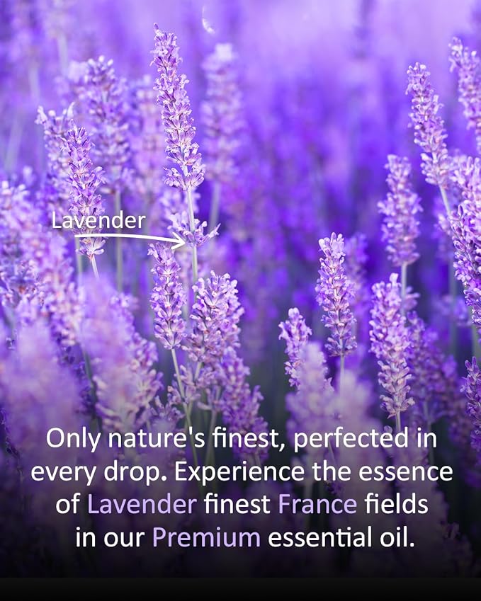 Premium Lavender Essential Oil for Relaxation DIY Diffusers Candles Nails Soaps - Image 4