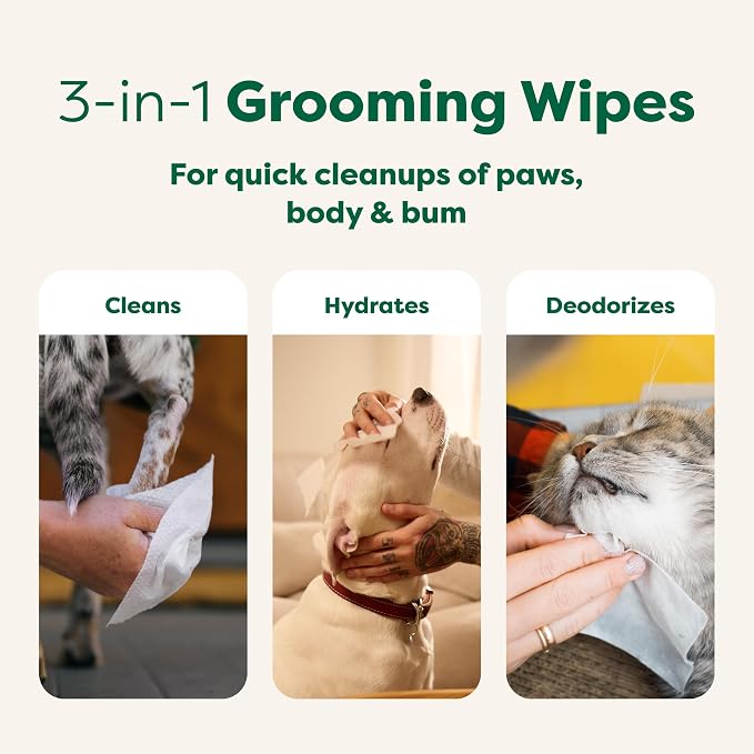Earth Rated Pet Wipes for Dogs and Cats, Hypoallergenic, 3-in-1 Cleaning - Image 3